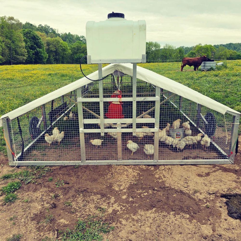 9x24 Broiler Coops In Johnson City TN