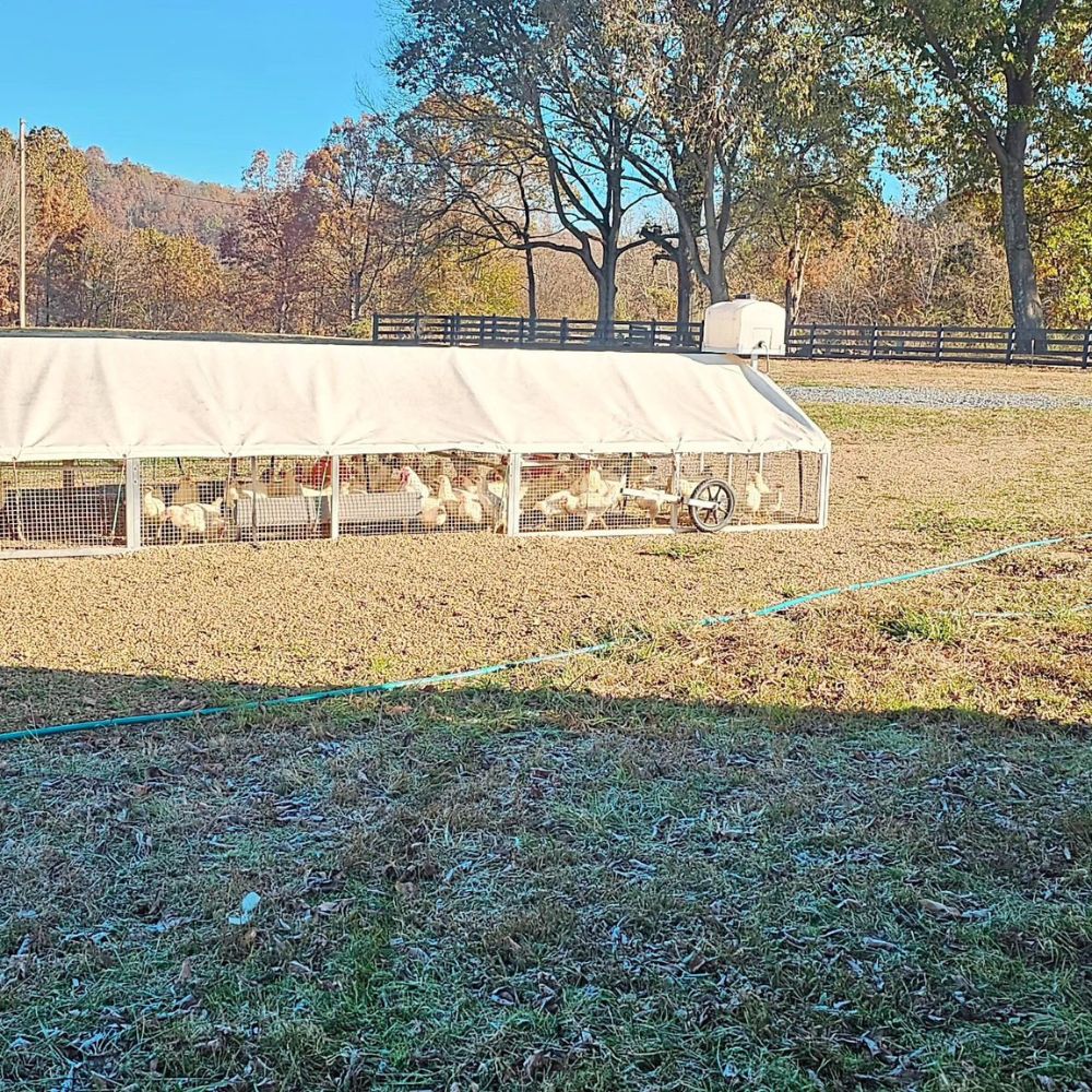 9x24 Mobile Broiler Chicken Coops In Johnson City TN