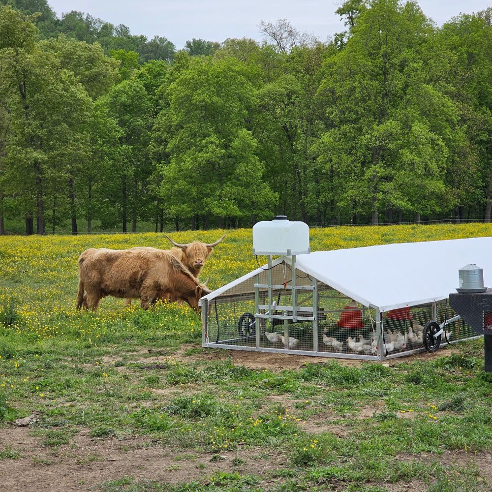 9x24 Mobile Broiler Coops In Johnson City TN