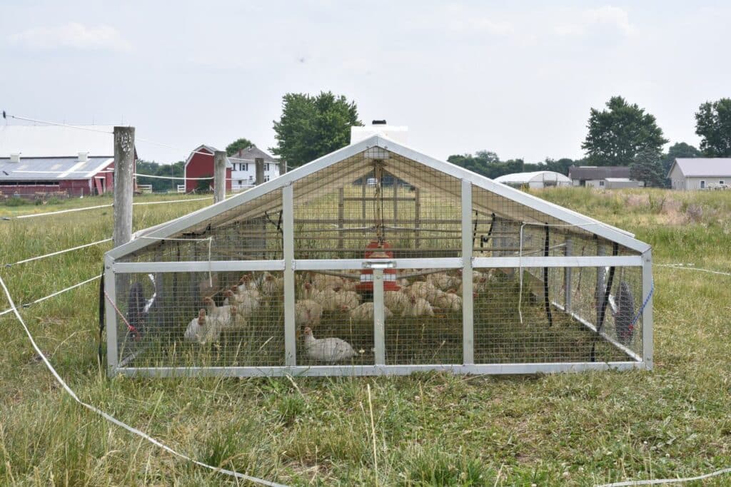 Broiler Chicken Coops In Rhode Island