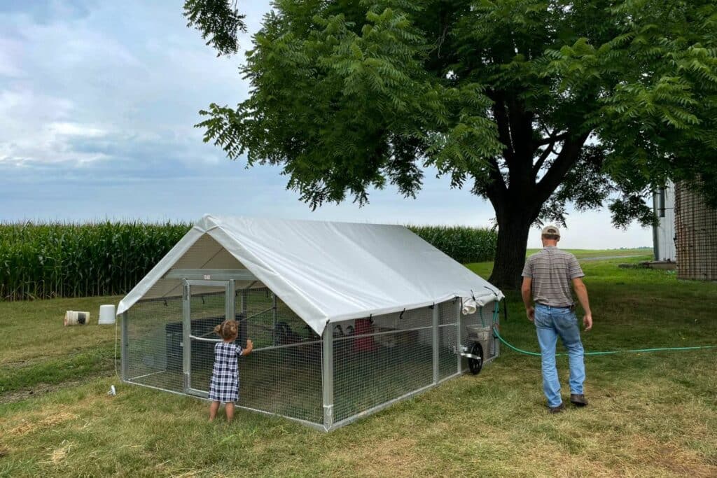 Chicken Coops In New Hampshire