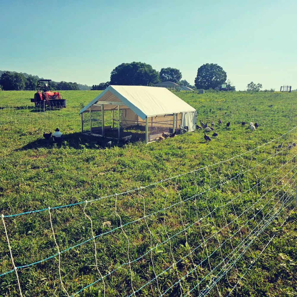 Happy Farmer 10x12 Mobile Coops In Johnson City TN