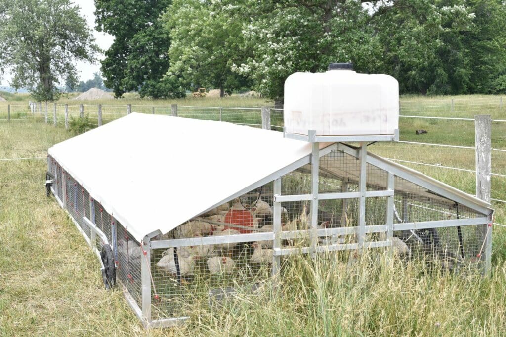 Mobile Broiler Chicken Coops In Maine