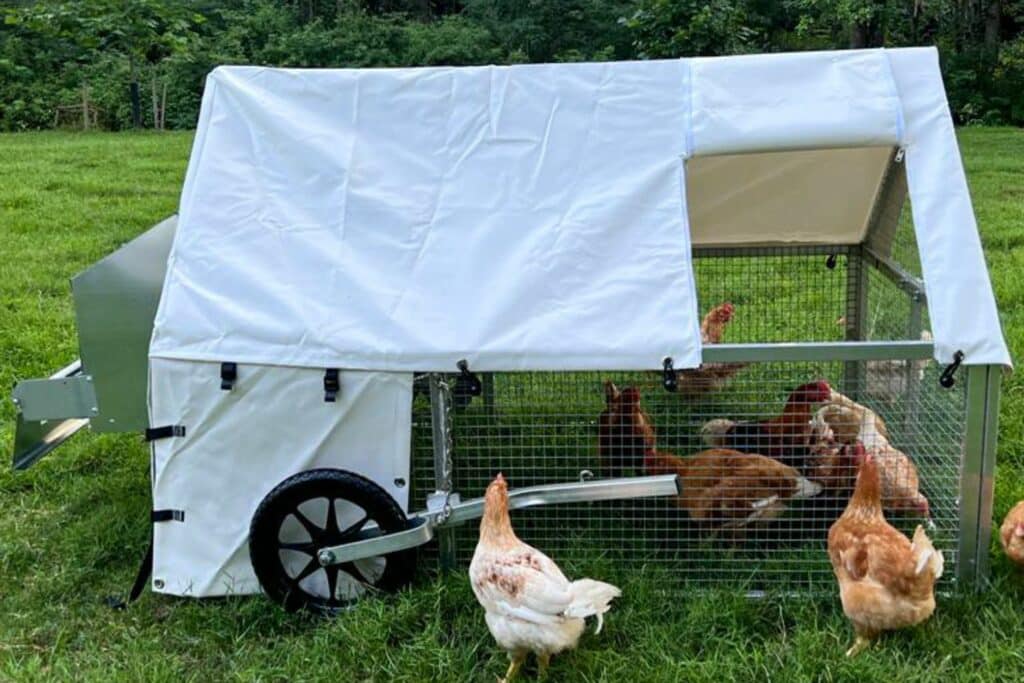 Mobile Chicken Coops In Concord New Hampshire