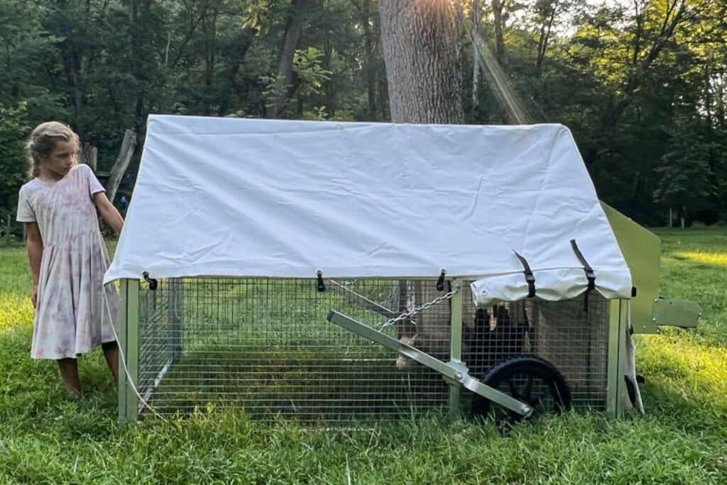 Mobile Chicken Coops In Keene New Hampshire