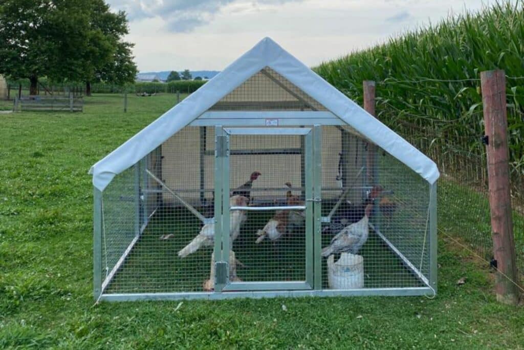 Mobile Chicken Coops In Maine