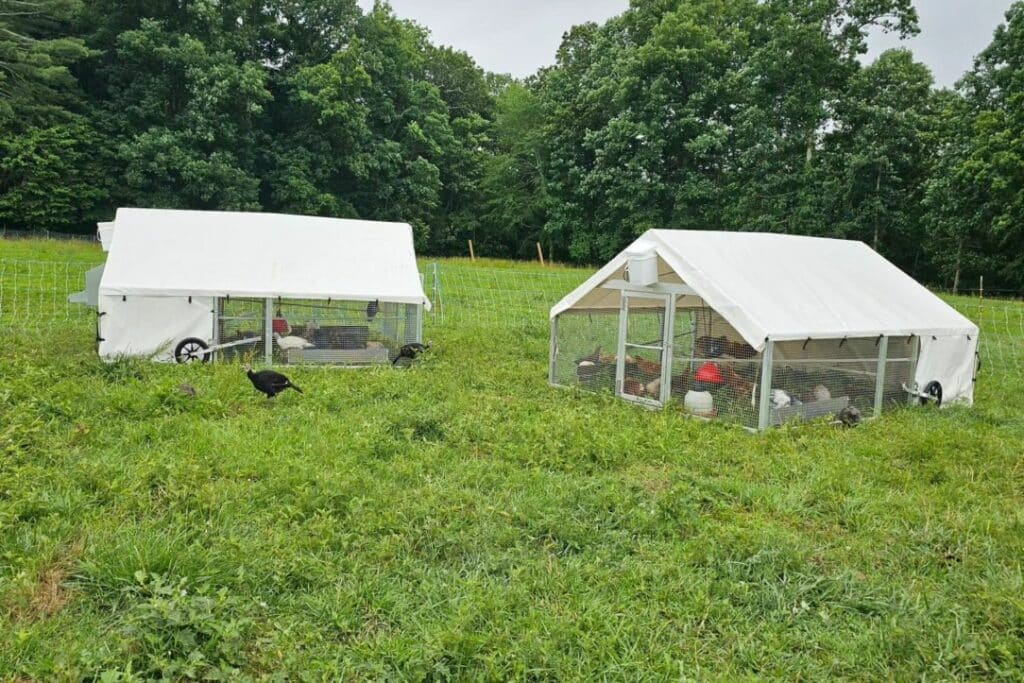 Mobile Chicken Coops In New Hampshire