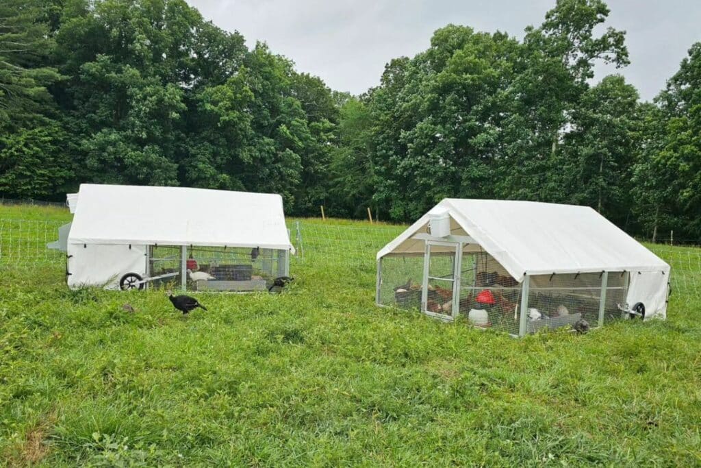 Mobile Chicken Coops In Warwick Rhode Island