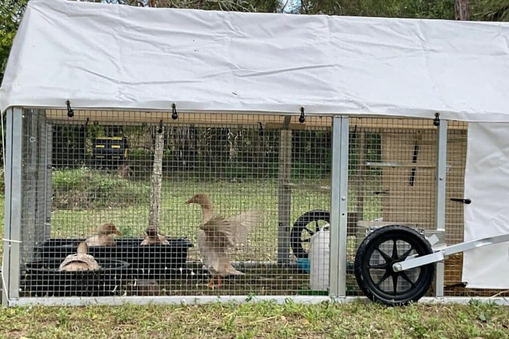 Mobile Duck Coops In Delaware City Delaware