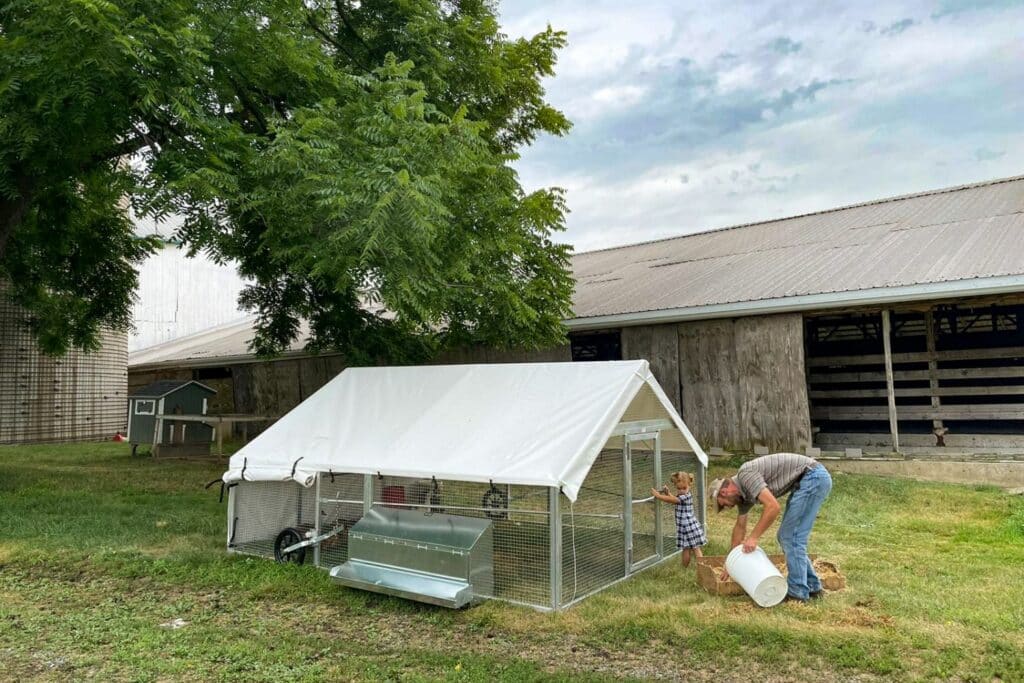 Mobile Duck Coops In Derry New Hampshire