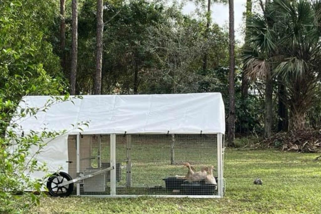 Mobile Duck Coops In Peabody Massachusetts