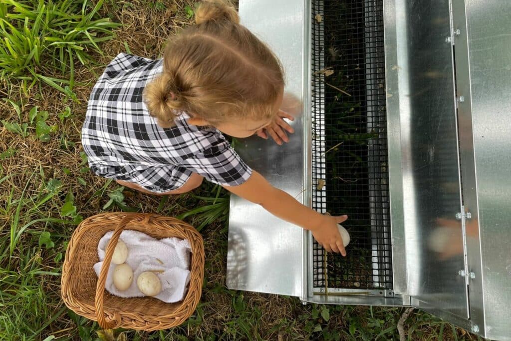 Mobile Duck Coops In Rockland Maine