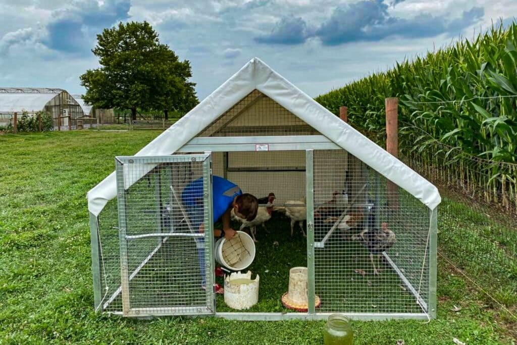 Turkey And Chicken Coops In Carolina Beach North Carolina