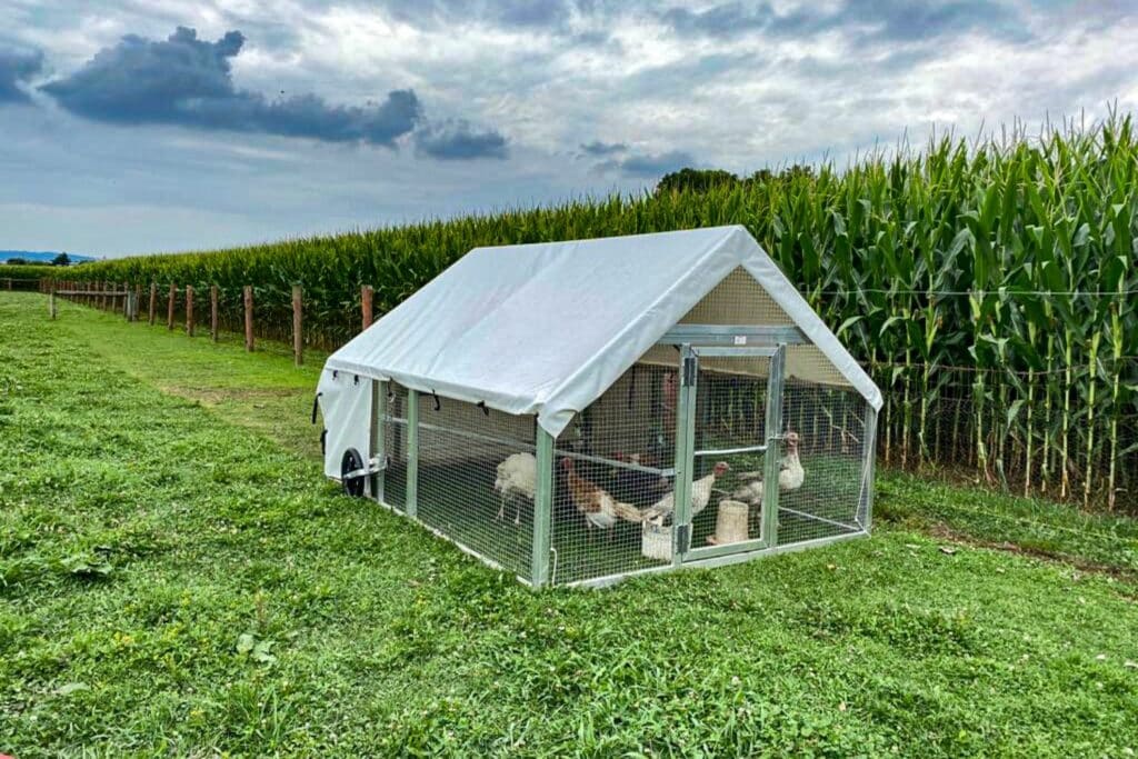 Turkey And Chicken Coops In Durham North Carolina