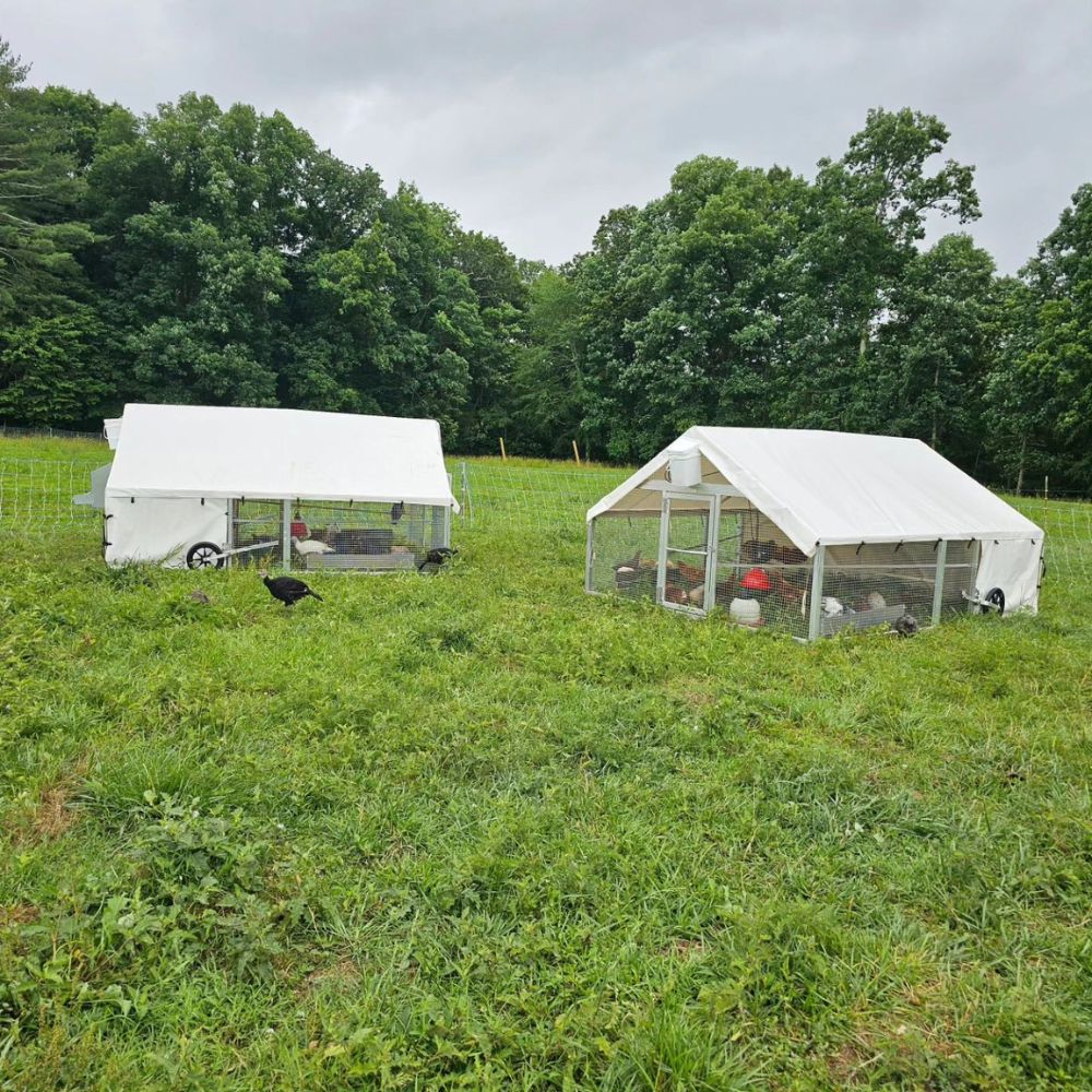 Two 10x12 Mobile Coops In Johnson City TN