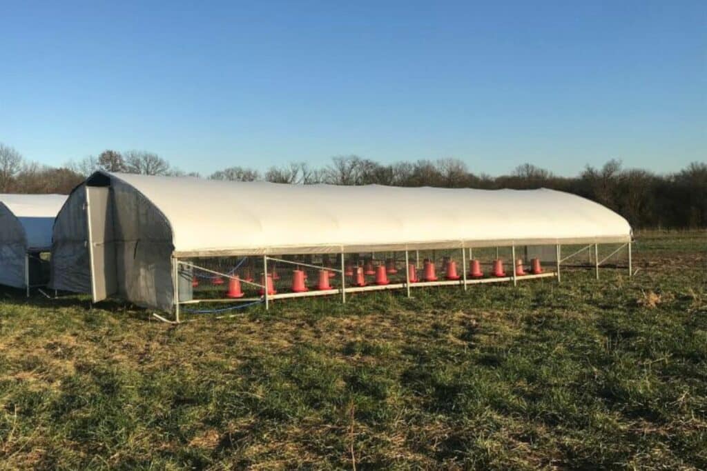 12x24 chicken hoop houses (5)