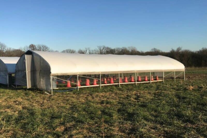 20x36 chicken hoop house, mobile coops