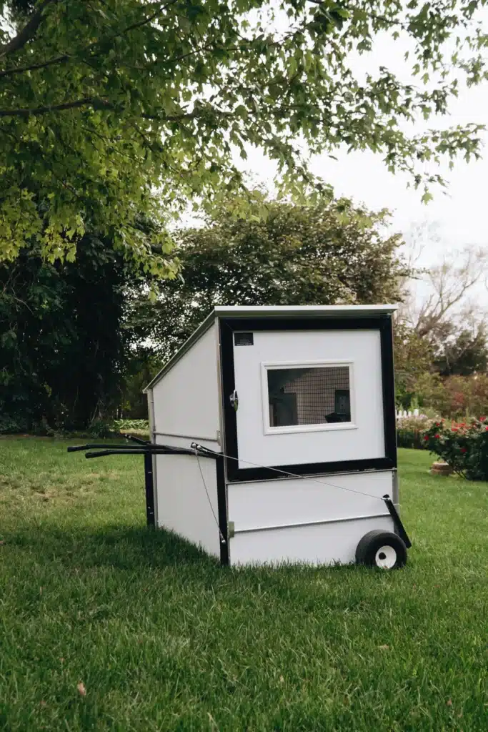 3x4 coop for 4 hens