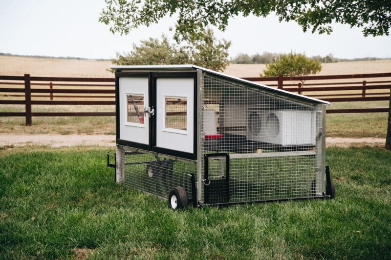 4x6 mobile coop for up to 10 chickens