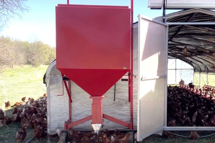 auto feeding system for chicken house