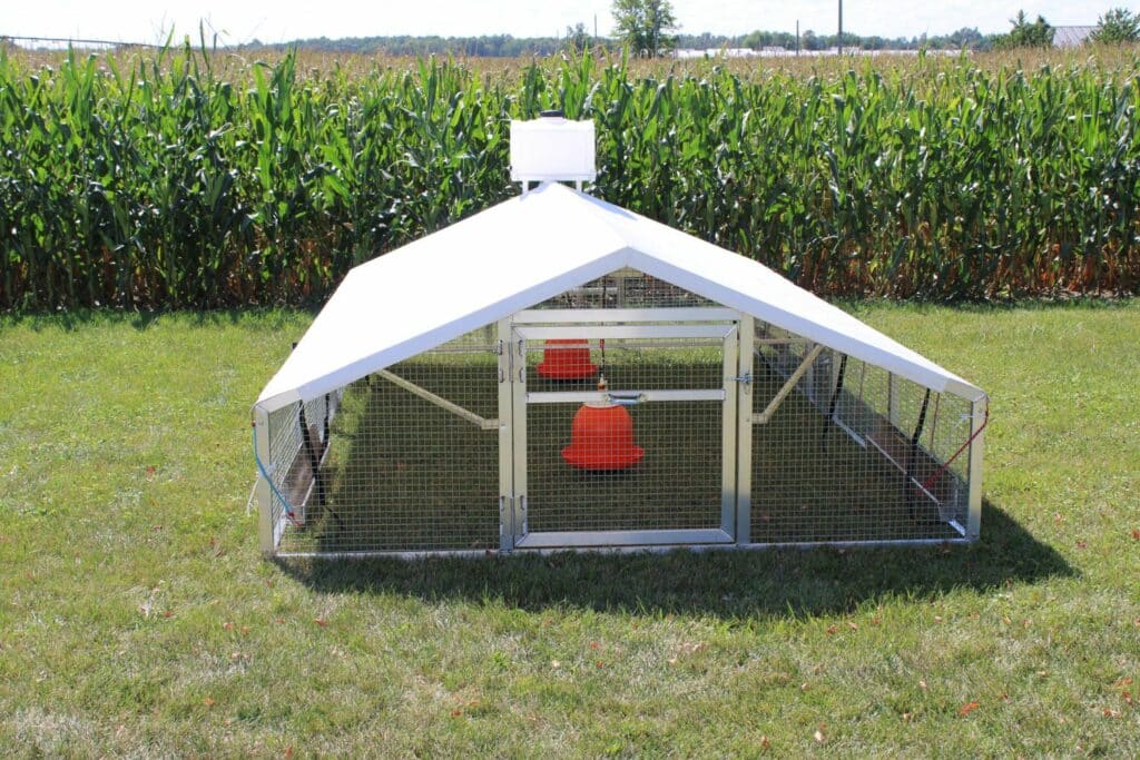 broiler chicken coops in arkansas