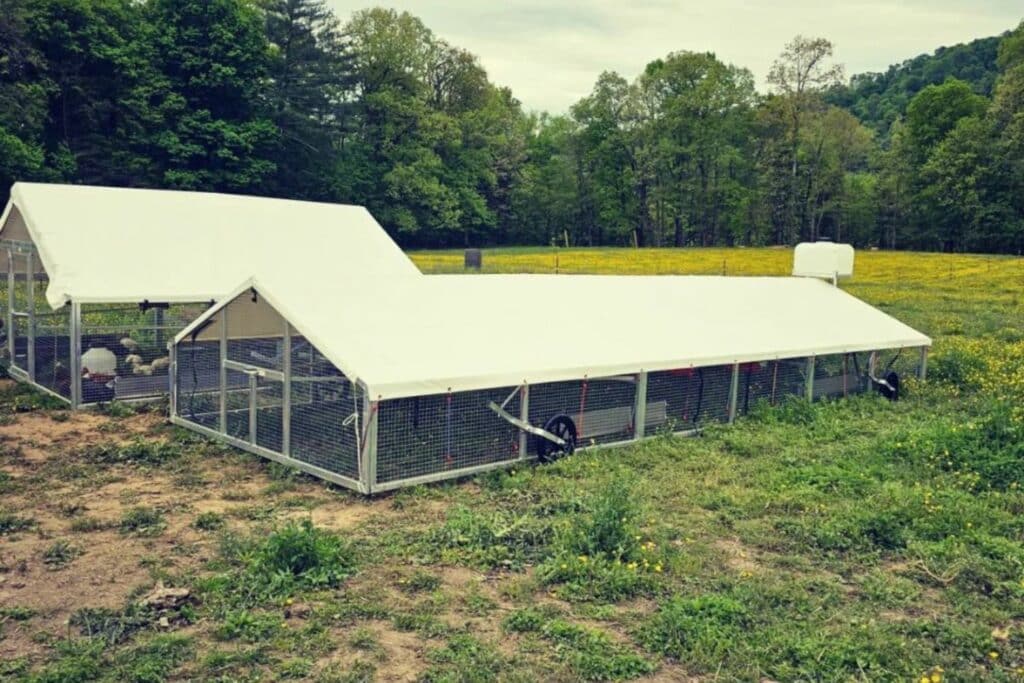 broiler chicken coops in colorado