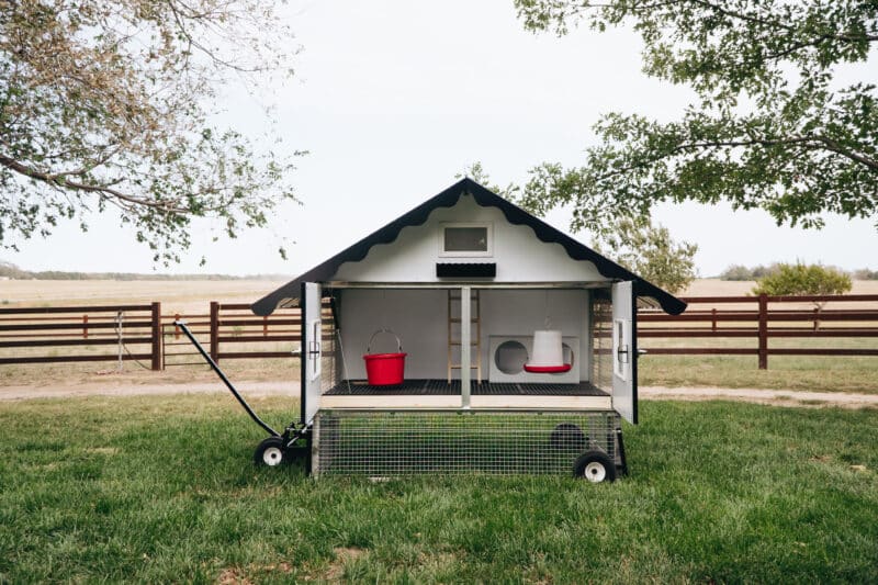 chicken coop for 10 chickens