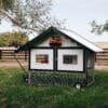 chicken tractor coop for 10 chickens