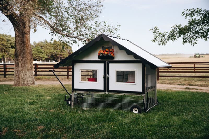 chicken tractor coop for 10 chickens