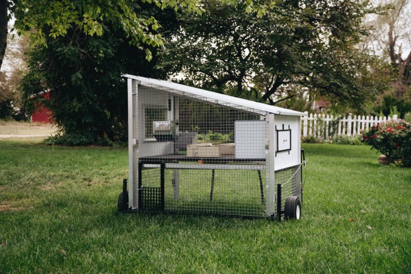 chicken tractor for 5 hens