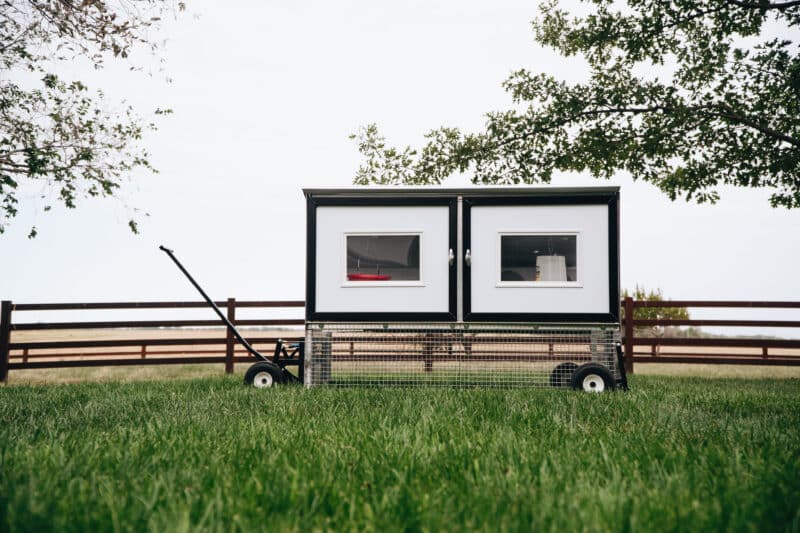 Moveable Chicken Coop for Ten Hens in the Grass