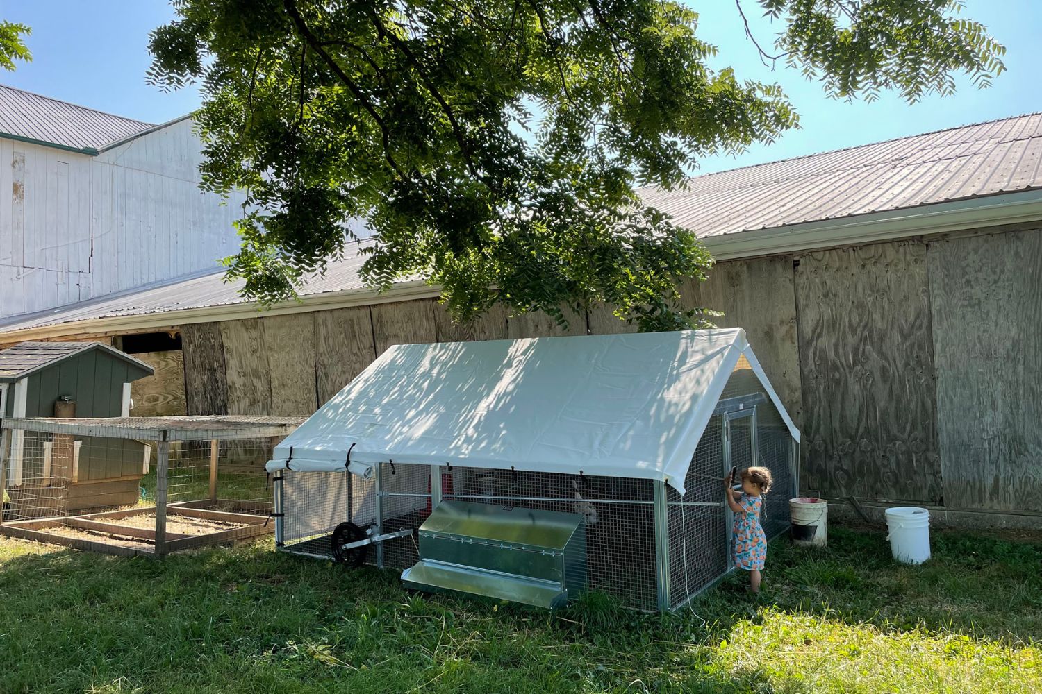 duck coops in california