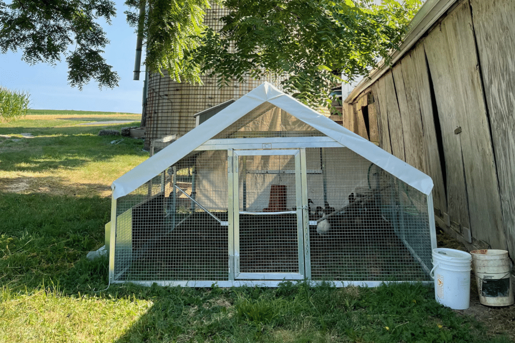 duck mobile coops in Iowa