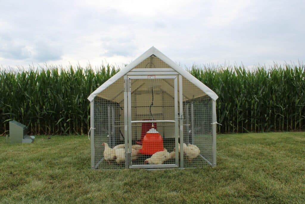 for sale moveable chicken coops in california