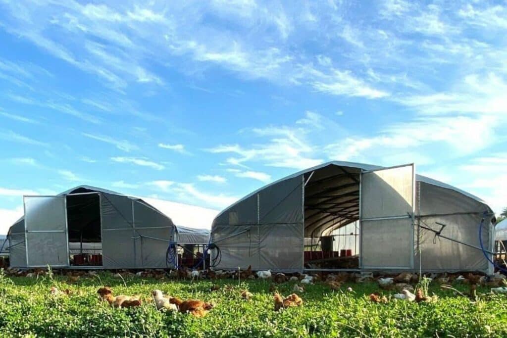 happy farmer- 20x48 chicken hoop houses