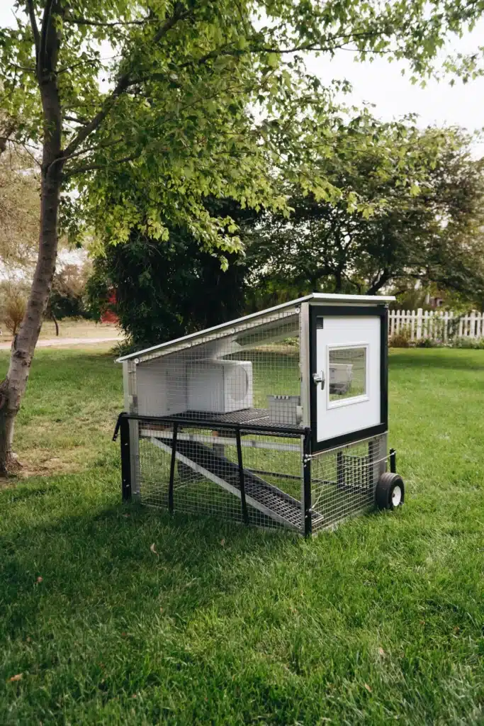 mini chicken coop for 5 chickens