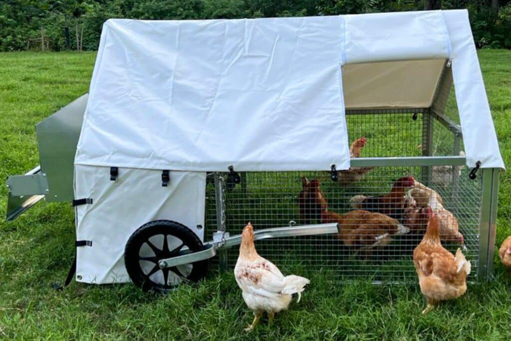 mobile chicken coops in Idaho