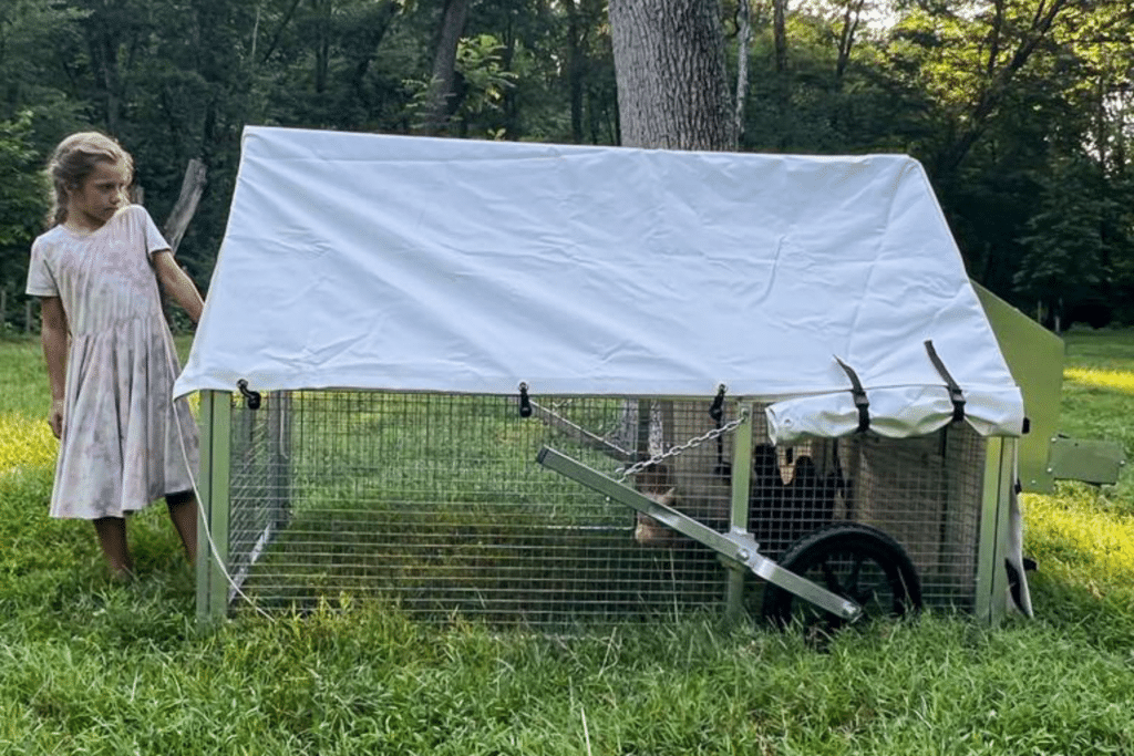 mobile chicken coops in Iowa