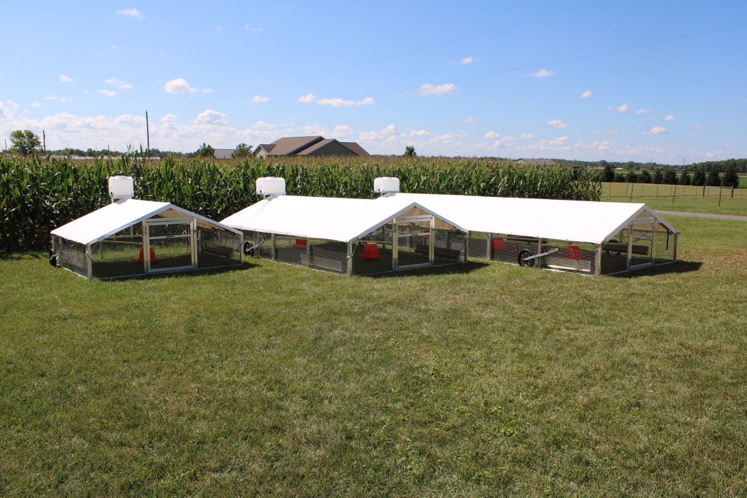 mobile chicken coops in california