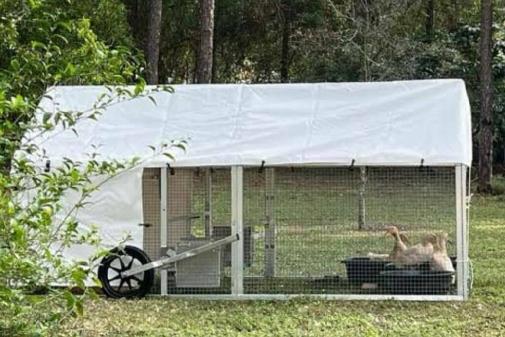 mobile duck coops for sale in colorado