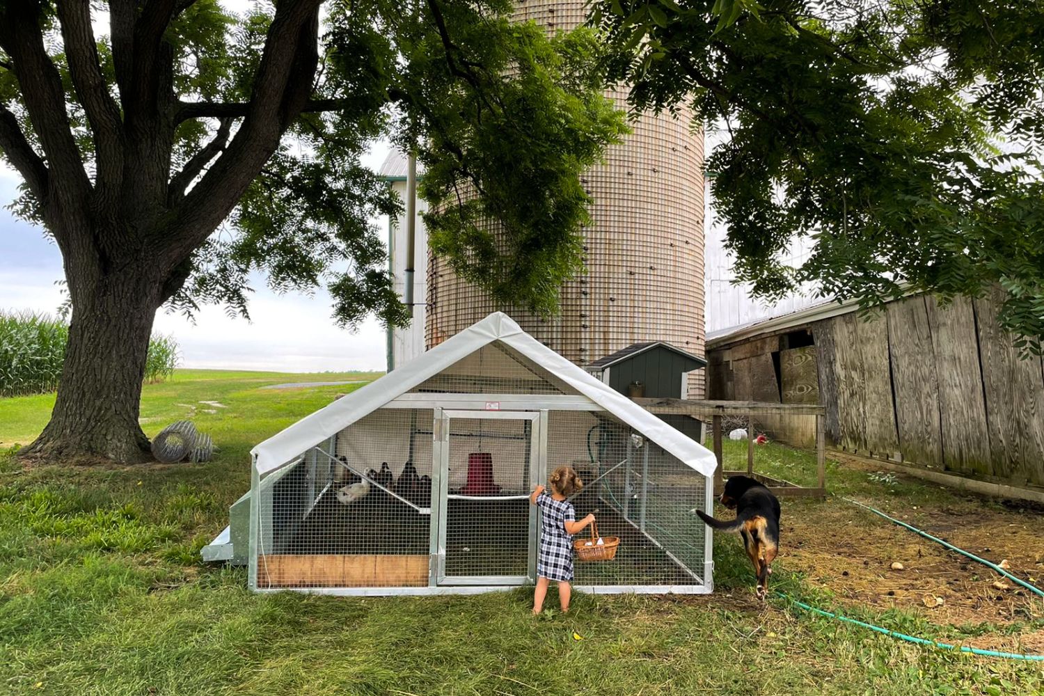 mobile duck coops in Idaho