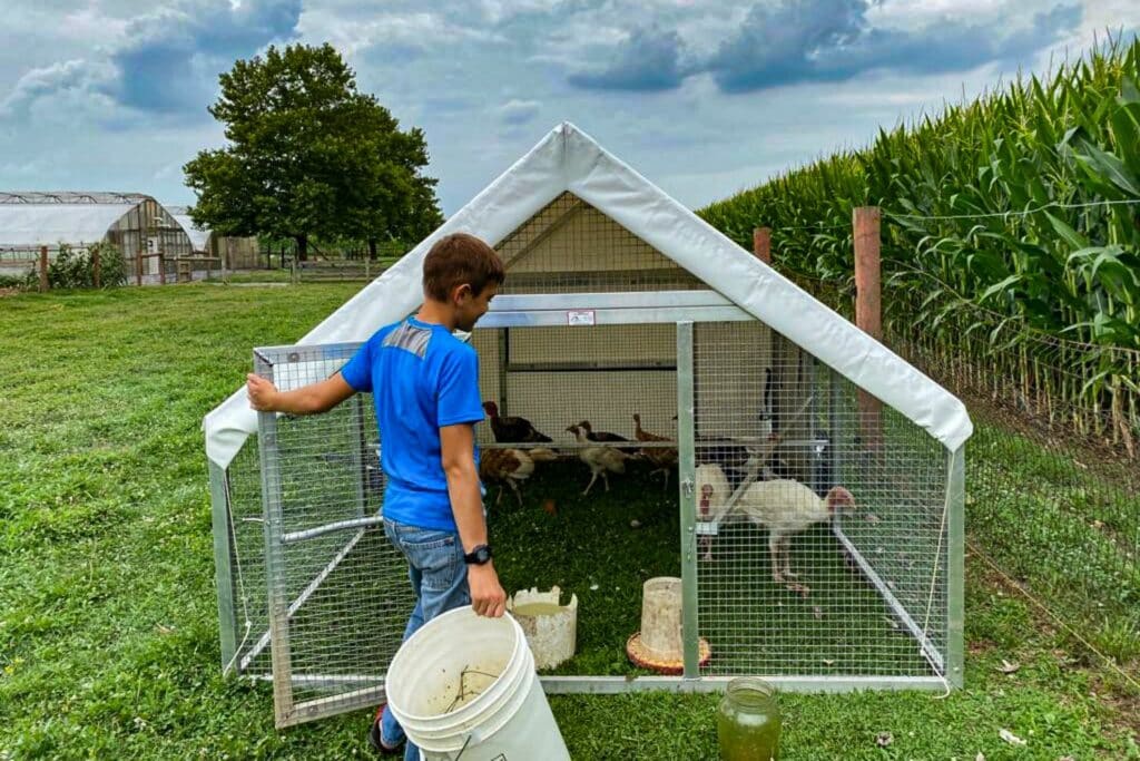 mobile turkey coops for sale in Iowa