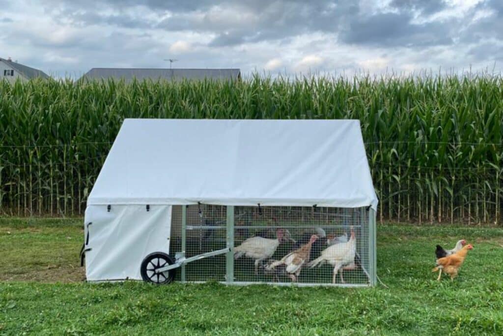 mobile turkey coops for sale in colorado