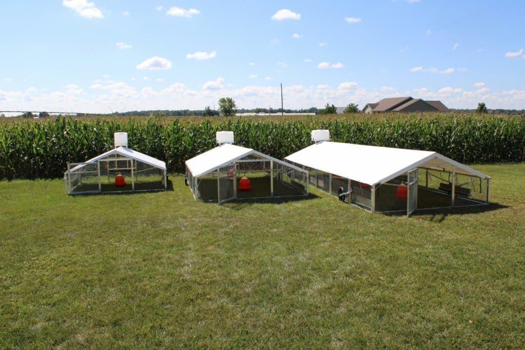 moveable chicken coops for sale in Iowa