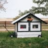 small backyard chicken tractor for 10 hens