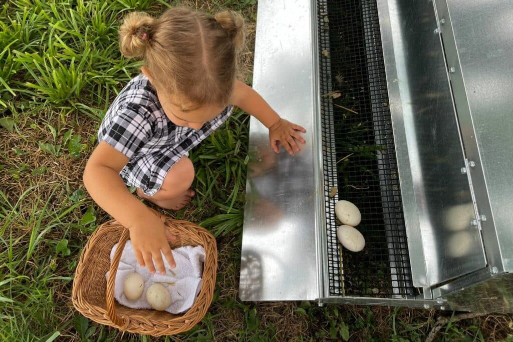 Boost-Your-Farms-Productivity-with-Mobile-Chicken-Houses