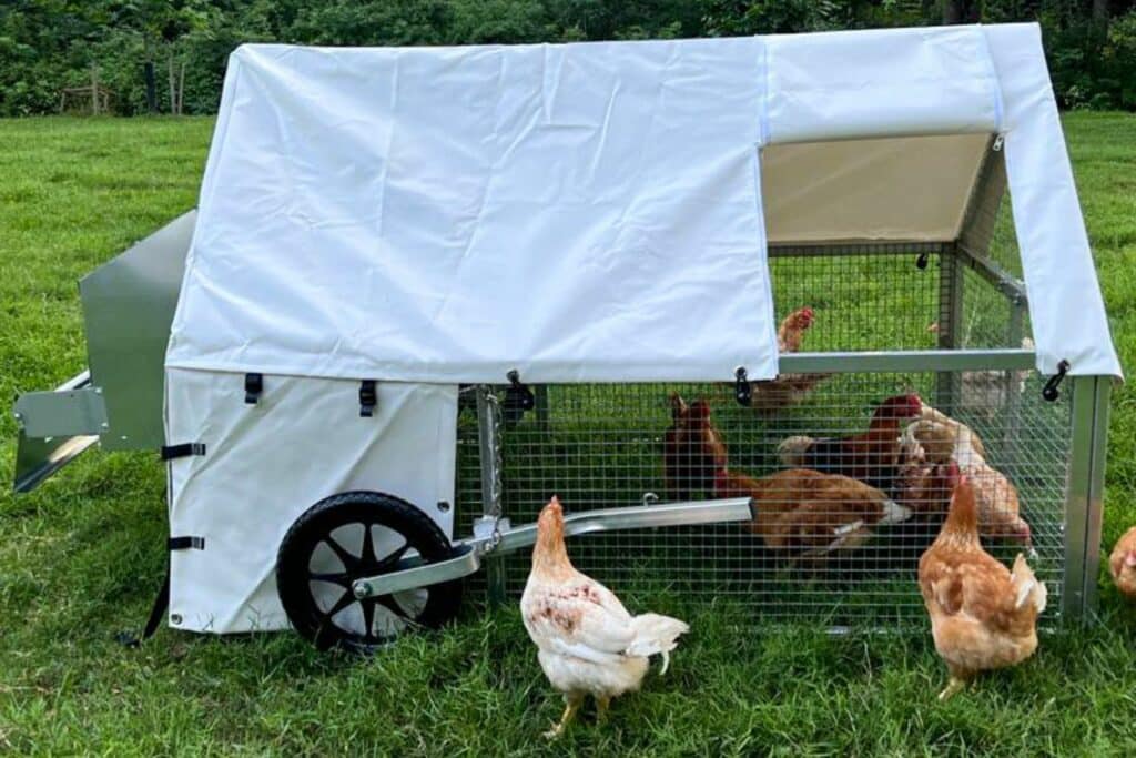 What-Are-Mobile-Chicken-Houses