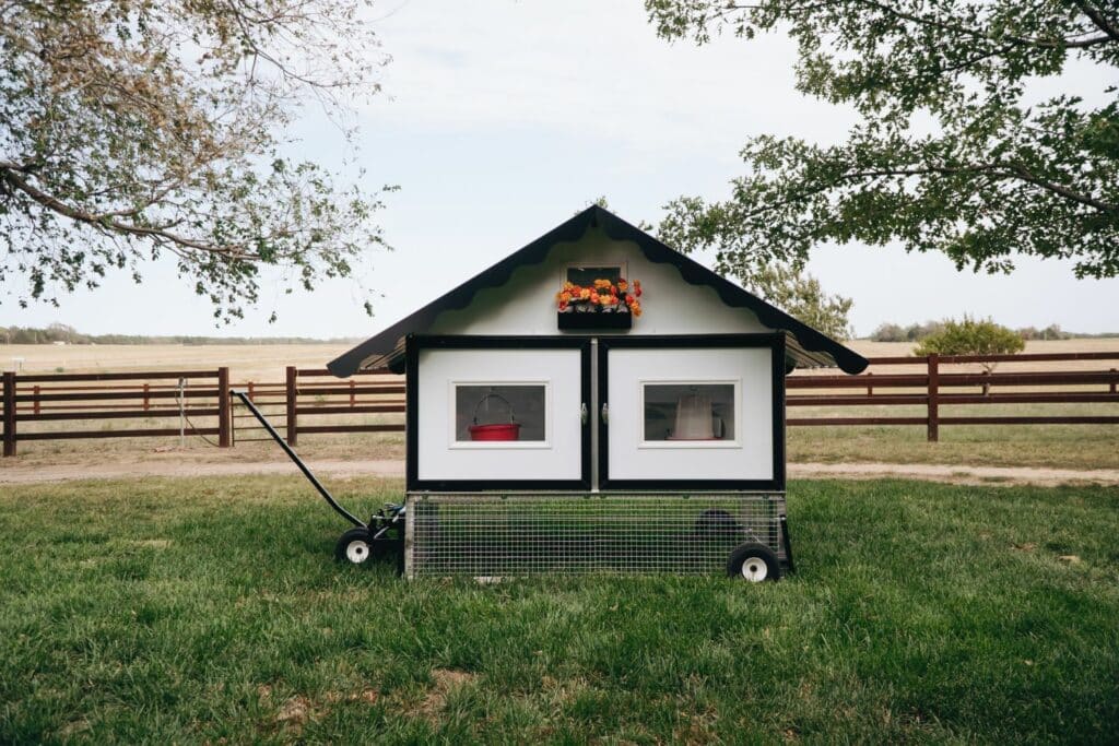 What-Are-Mobile-Chicken-Houses