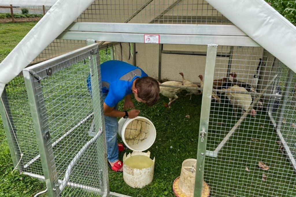 mobile chicken coop for sale in minnesota