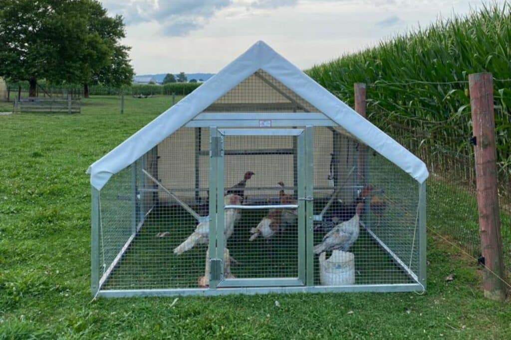 mobile chicken coop in minnesota